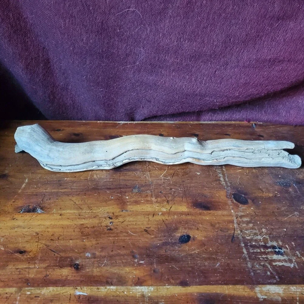 Driftwood Decor - 13